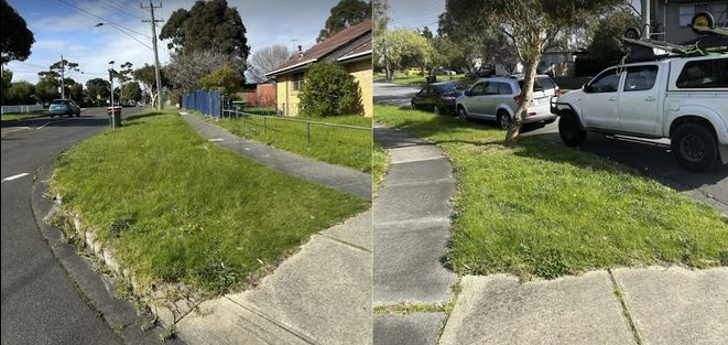 Patchy lawn being repaired in an Australian backyard